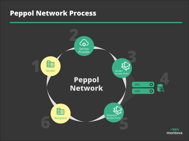 Peppol Network process flow